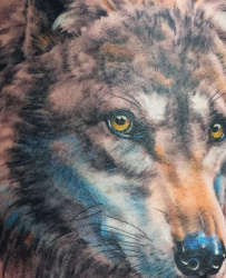 0001ab   Tiere  Wolf Tattoo Studio Hamburg Skinworxx
